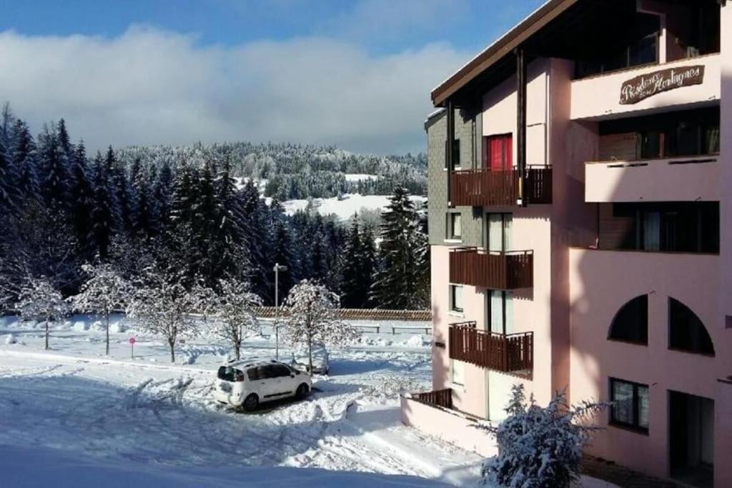 Appartement Montagne La Vallee Verte Coeur Station Hirmentaz Bellevaux Esterno foto
