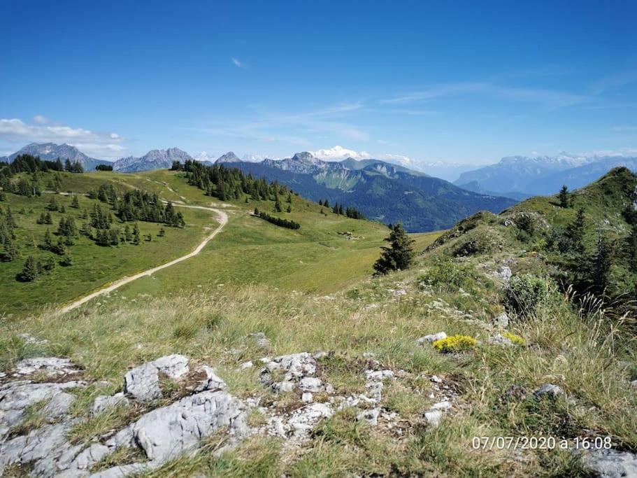 Appartement Montagne La Vallee Verte Coeur Station Hirmentaz Bellevaux Esterno foto